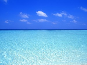 Mare-300x225
